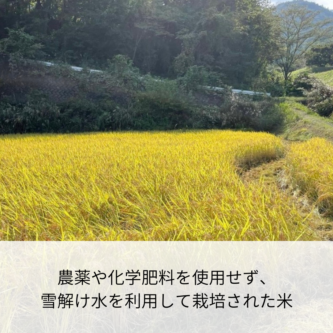 平飼い鶏と野菜のおじや【9ヶ月〜11ヶ月向け】容量100g